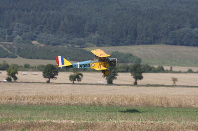 IMG 5880